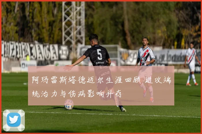阿玛雷斯塔德迈尔生涯回顾 进攻端统治力与伤病影响并存