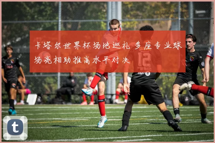 卡塔尔世界杯场地巡礼 多座专业球场亮相助推高水平对决