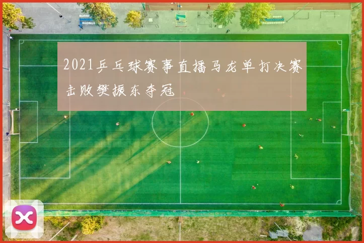2021乒乓球赛事直播马龙单打决赛击败樊振东夺冠